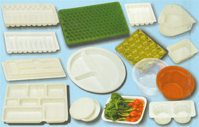 Thermoformed Packing Trays