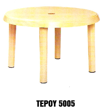 Tepoy