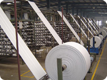Laminated and Non-Laminated PP Woven Fabric and Bags