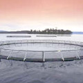 Aquaculture Net