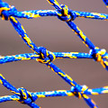 Sapphire Net