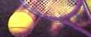 Tennis Net