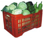 塑料水果和蔬菜板条箱：型号2001