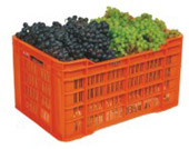 塑料水果和蔬菜板条箱：型号3001